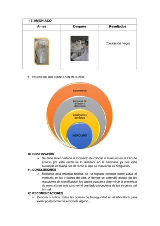 17.AMONIACO
Antes Después Resultados
Coloración negro
9. PRODUCTOS QUE CCONTIENEN MERCURIO.
10. OBSERVACIÓN
 Se debe tener cuidado al momento de colocar el mercurio en el tubo de
ensayo por esta razón se lo realizara en la campana ya que esta
sustancia es toxica por tal razón el uso de mascarilla es obligatorio.
11. CONCLUSIONES
 Mediante esta práctica teórica, se ha logrado conocer como actúa el
mercurio en las vísceras del pez. A demás se aprendió acerca de las
reacciones de identificación los cuales ayudan a determinar la presencia
de mercurio en este caso en el destilado procedente de las vísceras del
animal.
12. RECOMENDACIONES
 Conocer y aplicar todas las normas de bioseguridad en el laboratorio para
evitar posteriormente accidente alguno.
barometros
lamparas de
difusion y
ultravioleta
amalgamas
dentales
MERCURIO
 