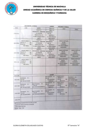 UNIVERSIDAD TÉCNICA DE MACHALA
UNIDAD ACADÉMICA DE CIENCIAS QUÍMICAS Y DE LA SALUD
CARRERA DE BIOQUÍMICA Y FARMACIA
GLORIA ELIZABETH COLLAGUAZO CUESTAS 9No
Semestre “A”
 