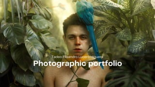 Photographic portfolio
Tadeo Elisandro Lucero Higuera
 