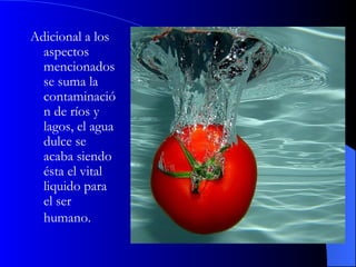 Adicional a los aspectos mencionados se suma la contaminación de ríos y lagos, el agua dulce se acaba siendo ésta el vital liquido para el ser humano.   