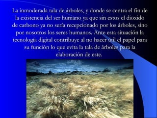 La inmoderada tala de árboles, y donde se centra el fin de la existencia del ser humano ya que sin estos el dioxido de carbono ya no sería recepcionado por los árboles, sino por nosotros los seres humanos. Ante esta situación la tecnología digital contribuye al no hacer útil el papel para su función lo que evita la tala de árboles para la elaboración de este.  