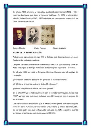 En el año 1865 el monje y naturalista austiacoGregor Mendel (1882 - 1884)
describió las leyes que rigen la herencia biológica. En 1879 el citogenético
alemán Walter Fleming (1843 - 1905) identificó los cromosomas y descubrió las
fases de la mitosis celular.
Gregor Mendel Walter Fleming Dibujo de Walter
ETAPA DE LA BIOTECNOLOGÍA:
Actualmente a principios del siglo XXI, la Biología está desempeñando un papel
fundamental en la vida moderna.
Después del descubrimiento de la estructura del ADN por Watson y Crick en
1953 ha surgido la Biología molecular, Biotecnología e Ingeniería Genética.
En el año 1985 se inició el Proyecto Genoma Humano con el objetivo de
responder:
¿Cuáles son cada uno de los 40 mil genes de la especie humana?
¿A dónde se encuentra cada uno de los 40 mil genes?
¿Qué rol cumplen cada uno de los 40 mil genes?
En el año 2000 ya se había culminado con el borrador del Proyecto. Estos días
(2007) ya todo está culminado inclusive se está trabajando con el genoma de
los animales.
Los científicos han encontrado que el 99,99% de los genes son idénticos para
todos los seres humanos, la variación de una persona y otra es de solo 0,01%.
Es por esa razón para que en la prueba biológica del ADN, es positivo cuando
la relación entre los dos individuos pasa del 99,99%.
 
