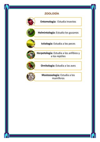 ZOOLOGÍA
Entomología: Estudia insectos
Helmintología: Estudia los gusanos
Ictiología: Estudia a los peces
Herpetología: Estudia a los anfibios y
a los reptiles
Ornitología: Estudia a las aves
Mastozoología: Estudia a los
mamíferos
 