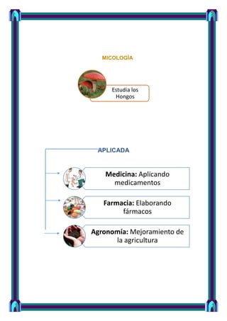 Estudia los
Hongos
MICOLOGÍA
APLICADA
Medicina: Aplicando
medicamentos
Farmacia: Elaborando
fármacos
Agronomía: Mejoramiento de
la agricultura
 