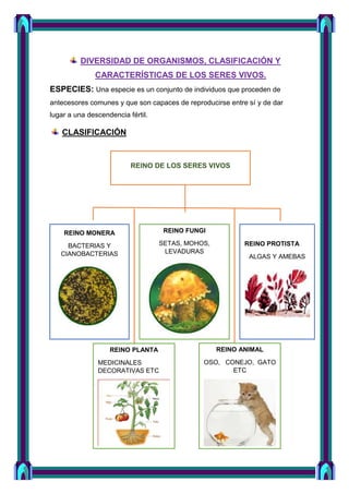 DIVERSIDAD DE ORGANISMOS, CLASIFICACIÓN Y
CARACTERÍSTICAS DE LOS SERES VIVOS.
ESPECIES: Una especie es un conjunto de individuos que proceden de
antecesores comunes y que son capaces de reproducirse entre sí y de dar
lugar a una descendencia fértil.
CLASIFICACIÓN
REINO DE LOS SERES VIVOS
REINO MONERA
BACTERIAS Y
CIANOBACTERIAS
REINO PLANTA
MEDICINALES
DECORATIVAS ETC
REINO FUNGI
SETAS, MOHOS,
LEVADURAS
REINO PROTISTA
ALGAS Y AMEBAS
REINO ANIMAL
OSO, CONEJO, GATO
ETC
 