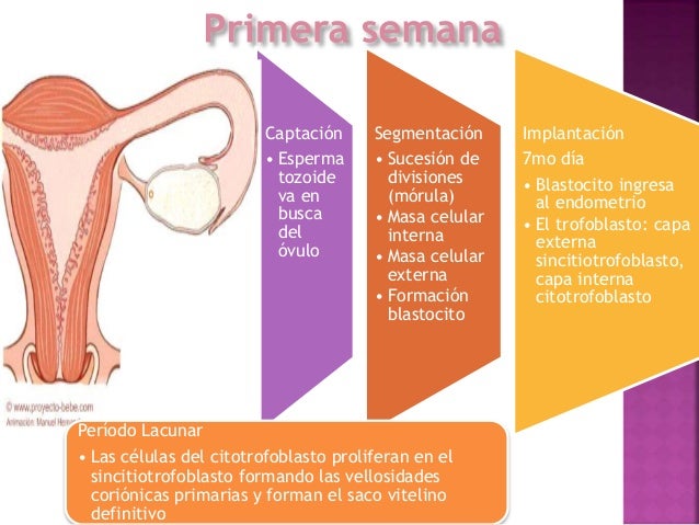 La psicología que hacer si el marido el alcohólico