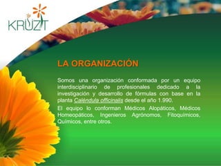 Por su cadena larga de aminoácidos ser tan parecida a la del cuerpo humano, es la planta estudiada en la actualidad, que mas rápidamente es absorbida y asimilada sin ningún riesgo, por nuestro cuerpo.PRINCIPIOS ACTIVOS: Son sustancias químicas que la planta produce en forma natural para beneficio de la salud humana.PRINCIPIOS ACTIVOS CONTENIDOS EN LAS FLORES DE CALENDULA:Carotenoides