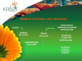 La Caléndula, esta reconocida médica y científicamente en el campocosmetologico por sus propiedades antisépticas, antiinflamatorias, estimulante en la regeneración celular del tejido epitelial, captadora de radicales libres. 