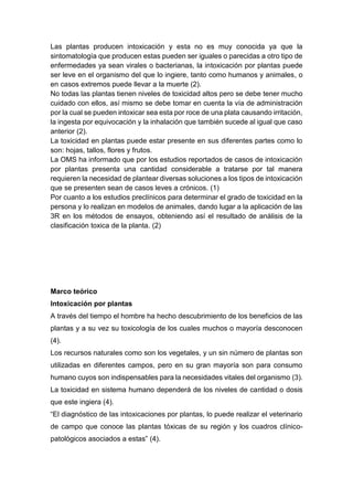 Las plantas producen intoxicación y esta no es muy conocida ya que la
sintomatología que producen estas pueden ser iguales o parecidas a otro tipo de
enfermedades ya sean virales o bacterianas, la intoxicación por plantas puede
ser leve en el organismo del que lo ingiere, tanto como humanos y animales, o
en casos extremos puede llevar a la muerte (2).
No todas las plantas tienen niveles de toxicidad altos pero se debe tener mucho
cuidado con ellos, así mismo se debe tomar en cuenta la vía de administración
por la cual se pueden intoxicar sea esta por roce de una plata causando irritación,
la ingesta por equivocación y la inhalación que también sucede al igual que caso
anterior (2).
La toxicidad en plantas puede estar presente en sus diferentes partes como lo
son: hojas, tallos, flores y frutos.
La OMS ha informado que por los estudios reportados de casos de intoxicación
por plantas presenta una cantidad considerable a tratarse por tal manera
requieren la necesidad de plantear diversas soluciones a los tipos de intoxicación
que se presenten sean de casos leves a crónicos. (1)
Por cuanto a los estudios preclínicos para determinar el grado de toxicidad en la
persona y lo realizan en modelos de animales, dando lugar a la aplicación de las
3R en los métodos de ensayos, obteniendo así el resultado de análisis de la
clasificación toxica de la planta. (2)
Marco teórico
Intoxicación por plantas
A través del tiempo el hombre ha hecho descubrimiento de los beneficios de las
plantas y a su vez su toxicología de los cuales muchos o mayoría desconocen
(4).
Los recursos naturales como son los vegetales, y un sin número de plantas son
utilizadas en diferentes campos, pero en su gran mayoría son para consumo
humano cuyos son indispensables para la necesidades vitales del organismo (3).
La toxicidad en sistema humano dependerá de los niveles de cantidad o dosis
que este ingiera (4).
“El diagnóstico de las intoxicaciones por plantas, lo puede realizar el veterinario
de campo que conoce las plantas tóxicas de su región y los cuadros clínico-
patológicos asociados a estas” (4).
 