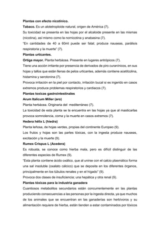 Plantas con efecto nicotínico.
Tabaco. Es un alotetroploide natural, origen de América (7).
Su toxicidad se presenta en las hojas por el alcaloide presente en las mismas
(nicotina), así mismo como la nornicotina y anabasina (7).
“En cantidades de 40 a 60ml puede ser fatal; produce nauseas, parálisis
respiratoria y la muerte” (7).
Plantas urticantes.
Ortiga mayor. Planta herbácea. Presente en lugares antrópicos (7).
Tiene una acción irritante por presencia de derivados de piro curanínicos, en sus
hojas y tallos que están llenas de pelos urticantes, además contiene acetilcolina,
histamina y serotonina (7).
Provoca irritación en la piel por contacto, irritación bucal si es ingerido en casos
extremos produce problemas respiratorios y cardiacos (7).
Plantas toxicas gastrointestinales
Arum Italicum Miller (aro)
Planta herbácea. Originaria del mediterráneo (7).
La toxicidad de esta planta se la encuentra en las hojas ya que al masticarlas
provoca somnolencia, coma y la muerte en casos extremos (7).
Hedera hélix L (hiedra)
Planta leñosa, de hojas verdes, propias del continente Europeo (9).
Los frutos y hojas son las partes tóxicas, con la ingesta produce nauseas,
excitación y la muerte (9).
Rumex Crispus L (Acedera)
Es robusta, se conoce como hierba mala, pero es difícil distinguir de las
diferentes especies de Rumex (9).
“Esta planta contiene ácido oxálico, que al unirse con el calcio plasmático forma
una sal insoluble (oxalato cálcico) que se deposita en los diferentes órganos,
principalmente en los túbulos renales y en el hígado” (9).
Provoca dos clases de insuficiencia; una hepática y otra renal (9).
Plantas tóxicas para la industria ganadera
Cuantiosos metabolitos secundarios están concurrentemente en las plantas
produciendo consecuencias a las personas por la ingesta directa, ya que muchos
de los animales que se encuentran en las ganaderías son herbívoros y su
alimentación requiere de hierba, están tienden a estar contaminados por tóxicos
 