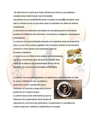 Se debe tener en cuenta que ningún alimento es natural, ya que plantas y
animales tienen determinado nivel de toxicidad.
Las plantas de una misma familia tienen un grado de toxicidad semejante, pero
esto no siempre ocurre ya que otras veces su toxicidad va a diferir de manera
considerable.
La formación de metabolitos secundarios en las plantas genera la formación
también de inhibidores del crecimiento, neurotoxinas, mutágenos, carcinógenos
y teratógenos.
La solanina es un glucoalcaloide presente en la superficie verde de la piel de la
papa, es una de las toxinas vegetales más conocidas, también se la encuentra
presente en otras plantas como berenjena, coles de
Bruselas y belladona,
La solanina es un inhibidor de la enzima acetilcolinesterasa,
que es un componente clave del sistema nervioso. Esta
toxina no se destruye por procesamiento térmico de los
alimentos. Su consumo recomendable es 200mg/Kg
La cafeína (es una purina alcaloide) y la teobromina, están presentes en café,
té, cocoa y bebidas de cola, La cafeína y
teobromina no son considerados como
nutrientes, su consumo a largo plazo provoca
problemas en la salud humana.
La cafeína tiene acción estimulante ya que se
relaciona con la estimulación de la síntesis de
catecolamina y las hormonas adrenalina y noradrenalina, lo cual altera los
niveles de glucosa, colesterol y triglicéridos en la sangre.
 