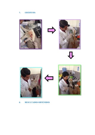 7. GRÁFICOS:
8. RESULTADOS OBTENIDOS
 