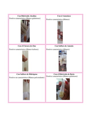 Con Hidróxido Alcalino
Positivo característico (Blanco gelatinoso)
Con el Amoniaco
Positivo característico (Blanco)
Con el Cloruro de Zinc
Positivo característico (Blanco lechoso)
Con Sulfuro de Amonio
Positivo característico (Blanco)
Con Sulfuro de Hidrógeno
Positivo no característico (Blanco pulverulento)
Con el Hidróxido de Bario
Positivo característico (Blanco gelatinoso)
 