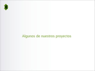 Algunos de nuestros proyectos
 
