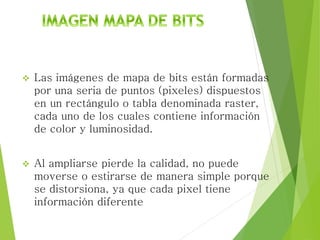  Las imágenes de mapa de bits están formadas
por una seria de puntos (pixeles) dispuestos
en un rectángulo o tabla denominada raster,
cada uno de los cuales contiene información
de color y luminosidad.
 Al ampliarse pierde la calidad, no puede
moverse o estirarse de manera simple porque
se distorsiona, ya que cada pixel tiene
información diferente
 