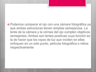  Podemos comparar el ojo con una cámara fotográfica ya
que ambas estructuras tienen amplias semejanzas. La
lente de la cámara y la córnea del ojo cumplen objetivos
semejantes. Ambas son lentes positivas cuya función es
la de hacer que los rayos de luz que inciden en ellas
enfoquen en un solo punto, película fotográfica o retina
respectivamente
 