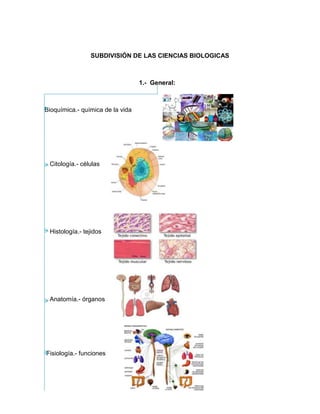 SUBDIVISIÓN DE LAS CIENCIAS BIOLOGICAS
1.- General:
Bioquímica.- química de la vida
Citología.- células
Histología.- tejidos
Anatomía.- órganos
Fisiología.- funciones
 