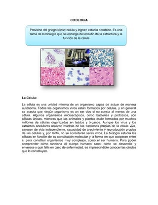 CITOLOGIA
La Celula:
La célula es una unidad mínima de un organismo capaz de actuar de manera
autónoma. Todos los organismos vivos están formados por células, y en general
se acepta que ningún organismo es un ser vivo si no consta al menos de una
célula. Algunos organismos microscópicos, como bacterias y protozoos, son
células únicas, mientras que los animales y plantas están formados por muchos
millones de células organizadas en tejidos y órganos. Aunque los virus y los
extractos acelulares realizan muchas de las funciones propias de la célula viva,
carecen de vida independiente, capacidad de crecimiento y reproducción propias
de las células y, por tanto, no se consideran seres vivos. La biología estudia las
células en función de su constitución molecular y la forma en que cooperan entre
sí para constituir organismos muy complejos, como el ser humano. Para poder
comprender cómo funciona el cuerpo humano sano, cómo se desarrolla y
envejece y qué falla en caso de enfermedad, es imprescindible conocer las células
que lo constituyen.
Proviene del griego kitos= célula y logos= estudio o tratado. Es una
rama de la biología que se encarga del estudio de la estructura y la
función de la célula
 