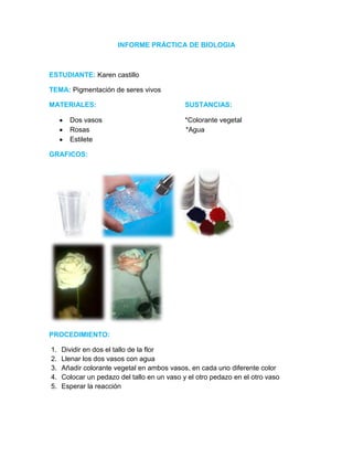 INFORME PRÁCTICA DE BIOLOGIA
ESTUDIANTE: Karen castillo
TEMA: Pigmentación de seres vivos
MATERIALES: SUSTANCIAS:
Dos vasos *Colorante vegetal
Rosas *Agua
Estilete
GRAFICOS:
PROCEDIMIENTO:
1. Dividir en dos el tallo de la flor
2. Llenar los dos vasos con agua
3. Añadir colorante vegetal en ambos vasos, en cada uno diferente color
4. Colocar un pedazo del tallo en un vaso y el otro pedazo en el otro vaso
5. Esperar la reacción
 