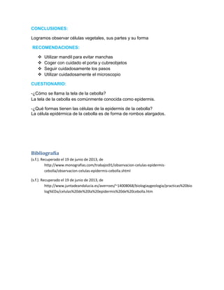 CONCLUSIONES:
Logramos observar células vegetales, sus partes y su forma
RECOMENDACIONES:
 Utilizar mandil para evitar manchas
 Coger con cuidado el porta y cubreobjetos
 Seguir cuidadosamente los pasos
 Utilizar cuidadosamente el microscopio
CUESTIONARIO:
-¿Cómo se llama la tela de la cebolla?
La tela de la cebolla es comúnmente conocida como epidermis.
-¿Qué formas tienen las células de la epidermis de la cebolla?
La célula epidérmica de la cebolla es de forma de rombos alargados.
Bibliografía
(s.f.). Recuperado el 19 de junio de 2013, de
http://www.monografias.com/trabajos91/observacion-celulas-epidermis-
cebolla/observacion-celulas-epidermis-cebolla.shtml
(s.f.). Recuperado el 19 de junio de 2013, de
http://www.juntadeandalucia.es/averroes/~14008068/biologiaygeologia/practicas%20bio
log%EDa/celulas%20de%20la%20epidermis%20de%20cebolla.htm
 