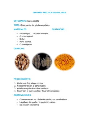 INFORME PRÁCTICA DE BIOLOGIA
ESTUDIANTE: Karen castillo
TEMA: Observación de células vegetales
MATERIALES: SUSTANCIAS:
Microscopio *Azul de metileno
Corcho vegetal
Bisturí
Porta objetos
Cubre objetos
GRAFICOS:
PROCEDIMIENTO:
1. Cortar una fina tela de corcho
2. Colocar la tela en el portaobjetos
3. Añadir una gota de azul de metileno
4. Cubrir con el cubreobjetos y llevar al microscopio
OBSERVACIONES:
Observamos en las célula del corcho una pared celular
La células de corcho no contienen núcleo
No poseen citoplasma
 