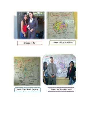 Entrega de flor Diseño de Célula Animal
Diseño de Célula Vegetal Diseño de Célula Procariota
 