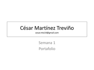 César Martínez Treviño 
cesar.mtz14@gmail.com 
Semana 1 
Portafolio 
 