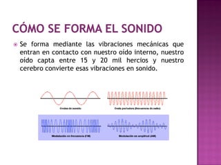    Se forma mediante las vibraciones mecánicas que
    entran en contacto con nuestro oído interno, nuestro
    oído capta entre 15 y 20 mil hercios y nuestro
    cerebro convierte esas vibraciones en sonido.
 