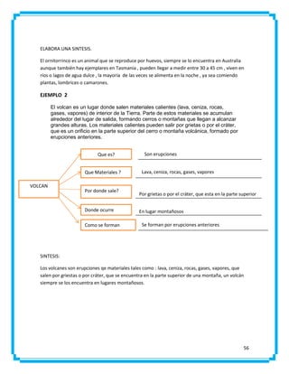 ELABORA UNA SINTESIS.
El ornitorrinco es un animal que se reproduce por huevos, siempre se lo encuentra en Australia
aunque también hay ejemplares en Tasmania , pueden llegar a medir entre 30 a 45 cm , viven en
ríos o lagos de agua dulce , la mayoría de las veces se alimenta en la noche , ya sea comiendo
plantas, lombrices o camarones.

EJEMPLO 2
El volcan es un lugar donde salen materiales calientes (lava, ceniza, rocas,
gases, vapores) de interior de la Tierra. Parte de estos materiales se acumulan
alrededor del lugar de salida, formando cerros o montañas que llegan a alcanzar
grandes alturas. Los materiales calientes pueden salir por grietas o por el cráter,
que es un orificio en la parte superior del cerro o montaña volcánica, formado por
erupciones anteriores.
Que es?
Que Materiales ?
VOLCAN

Por donde sale?

Donde ocurre
Como se forman

Son erupciones
Lava, ceniza, rocas, gases, vapores

Por grietas o por el cráter, que esta en la parte superior
En lugar montañosos
Se forman por erupciones anteriores

SINTESIS:
Los volcanes son erupciones qe materiales tales como : lava, ceniza, rocas, gases, vapores, que
salen por griestas o por cráter, que se encuentra en la parte superior de una montaña, un volcán
siempre se los encuentra en lugares montañosos.

56

 