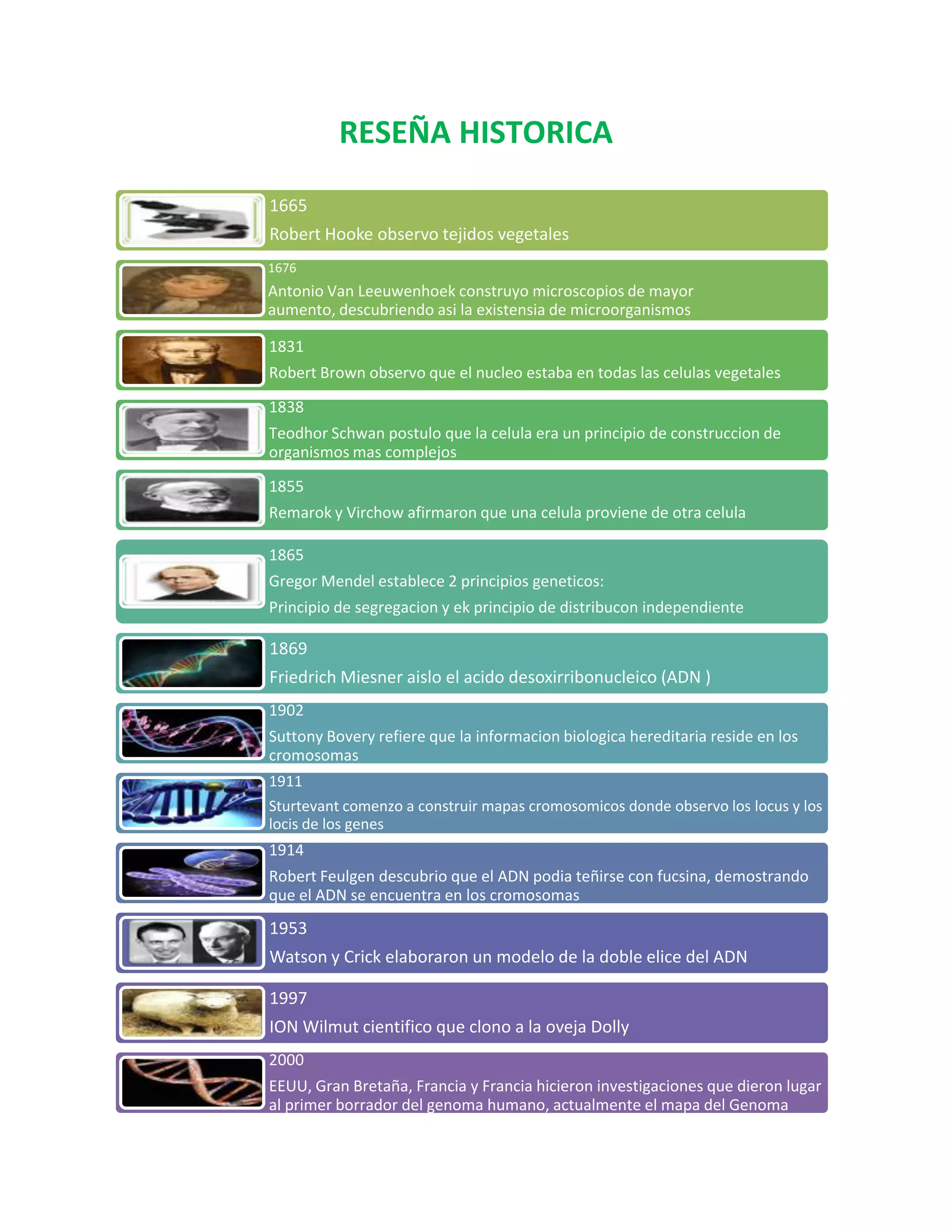 RESEÑA HISTORICA
1665
Robert Hooke observo tejidos vegetales
1676
Antonio Van Leeuwenhoek construyo microscopios de mayor
aumento, descubriendo asi la existensia de microorganismos
1831
Robert Brown observo que el nucleo estaba en todas las celulas vegetales
1838
Teodhor Schwan postulo que la celula era un principio de construccion de
organismos mas complejos
1855
Remarok y Virchow afirmaron que una celula proviene de otra celula
1865
Gregor Mendel establece 2 principios geneticos:
Principio de segregacion y ek principio de distribucon independiente
1869
Friedrich Miesner aislo el acido desoxirribonucleico (ADN )
1902
Suttony Bovery refiere que la informacion biologica hereditaria reside en los
cromosomas
1911
Sturtevant comenzo a construir mapas cromosomicos donde observo los locus y los
locis de los genes
1914
Robert Feulgen descubrio que el ADN podia teñirse con fucsina, demostrando
que el ADN se encuentra en los cromosomas
1953
Watson y Crick elaboraron un modelo de la doble elice del ADN
1997
ION Wilmut cientifico que clono a la oveja Dolly
2000
EEUU, Gran Bretaña, Francia y Francia hicieron investigaciones que dieron lugar
al primer borrador del genoma humano, actualmente el mapa del Genoma
 
