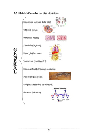 12
Bioquimica (quimica de la vida)
Citología (célula)
Histología (tejido)
Anatomía (órganos)
Fisiología (funciones)
Taxonomía (clasificación)
Biogeografía (distribución geográfica)
Paleontología (fósiles)
Filogenia (desarrollo de especies)
Genética (herencia)
1.5.1 Subdivisión de las ciencias biológicas.
 