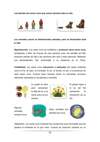 20
Las plantas son seres vivos que crecen durante toda su vida.
Los animales crecen en determinados periodos, pero se desarrollan toda
la vida.
Reproducción. Los seres vivos se multiplican y producen otros seres vivos
semejantes a ellos: los huevos de aves generan aves, las semillas de frijol
producen plantas de frijol y las personas dan vida a otras personas. Mediante
sus descendientes, dan continuidad a su existencia en la Tierra.
Irritabilidad. Los seres vivos reaccionan a estímulos del medio ambiente
como el frío, el calor, la humedad, la luz, el sonido, el olor y la presencia de
otros seres vivos. Cuando estos factores varían su intensidad, provocan
diferentes respuestas en las plantas y animales.
La pupila se abre
para compensar
la falta de luz y se
cierra ante una luz
intensa.
El girasol sigue a
la luz del Sol
cambiando la
orientación de su
flor.
Algunos
animales
rehuyen la luz
Otros animales son
atraídos por la luz.
Adaptación. Los seres vivos enfrentan las condiciones poco favorables que les
plantea el ambiente en el que viven. Cuando se producen cambios en su
 