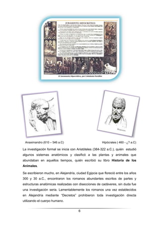 6
Anaximandro (610 – 546 a.C) Hipócrates ( 460 - ¿? a.C)
La investigación formal se inicia con Aristóteles (384-322 a.C.), quién estudió
algunos sistemas anatómicos y clasificó a las plantas y animales que
abundaban en aquellos tiempos, quién escribió su libro Historia de los
Animales.
Se escribieron mucho, en Alejandría, ciudad Egipcia que floreció entre los años
300 y 30 a.C., encontraron los romanos abundantes escritos de partes y
estructuras anatómicas realizadas con disecciones de cadáveres, sin duda fue
una investigación seria. Lamentablemente los romanos una vez establecidos
en Alejandría mediante “Decretos” prohibieron toda investigación directa
utilizando el cuerpo humano.
 