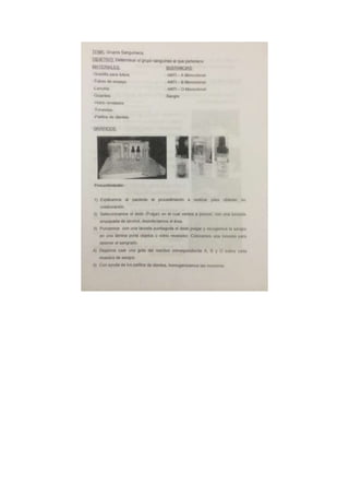 Portafolio de bioologia