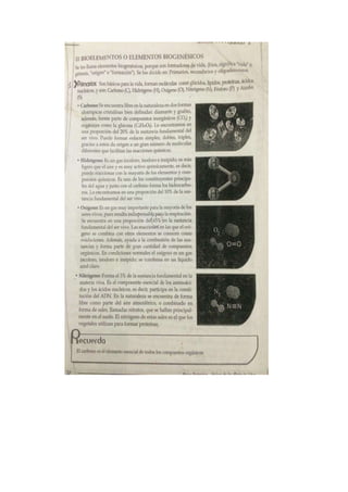 Portafolio de bioologia