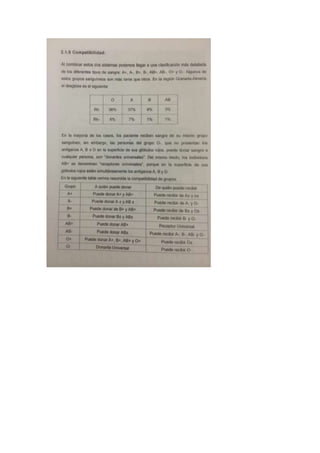 Portafolio de bioologia