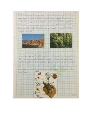 Portafolio de bioologia