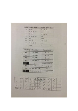 Portafolio de bioologia