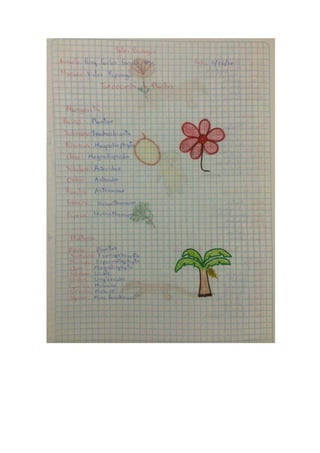 Portafolio de bioologia
