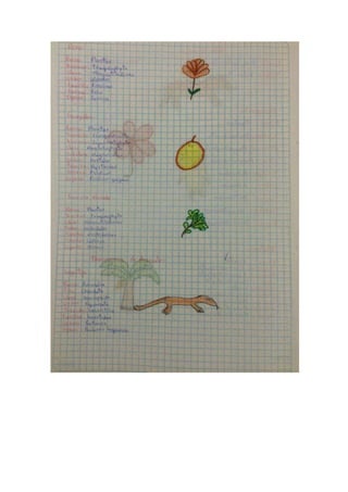 Portafolio de bioologia