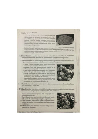 Portafolio de bioologia