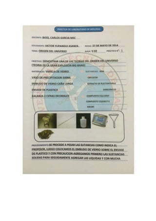 Portafolio de bioologia