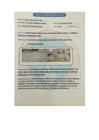 Portafolio de bioologia