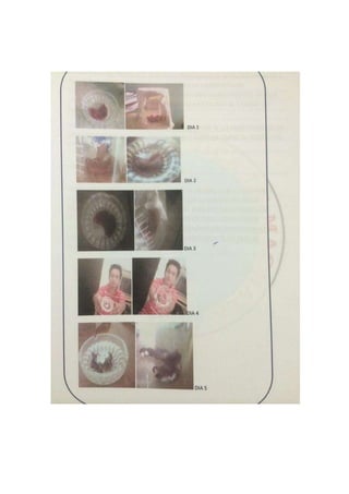 Portafolio de bioologia