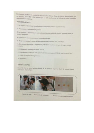 Portafolio de bioologia