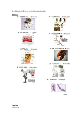 Se subdividen en 3 ramas: general, especial, aplicada.
GENERAL.
 BIOQUÍMICA - fármacos
 HISTOLOGIA - tejidos
 ANATOMÍA - órganos
 FISIOLOGIA - funciones
 TÁXONOMIA - clasificación
 BIOGEOGRAFIA - ubicación
 PALEONTOLOGIA - fósiles
 FILOGÉNIA – desarrollo
 GENETICA – herencia
ESPECIAL.
ZOOLOGIA:
 