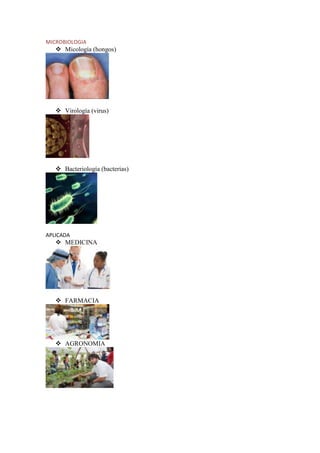 MICROBIOLOGIA
 Micología (hongos)
 Virología (virus)
 Bacteriología (bacterias)
APLICADA
 MEDICINA
 FARMACIA
 AGRONOMIA
 