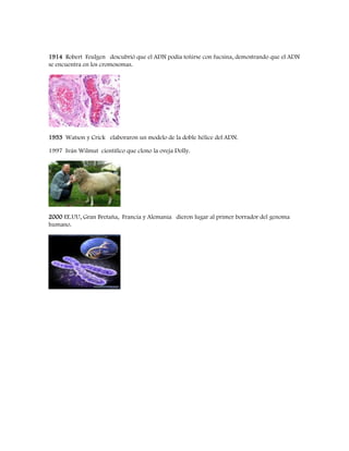 1914 Robert Feulgen descubrió que el ADN podía teñirse con fucsina, demostrando que el ADN
se encuentra en los cromosomas.
1953 Watson y Crick elaboraron un modelo de la doble hélice del ADN.
1997 Iván Wilmut científico que clono la oveja Dolly.
2000 EE.UU, Gran Bretaña, Francia y Alemania dieron lugar al primer borrador del genoma
humano.
 