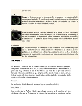cromosoma.
Anafase
Los pares de cromosomas se separan en los cinetocoros y se mueven a lados
opuestos de la célula. El movimiento es el resultado de una combinación de:
el movimiento del cinetocoro a lo largo de los microtubulos del huso y la
interacción física de los microtubulos polares.
Telofase
Los cromáticos llegan a los polos opuestos de la célula, y nuevas membranas
se forman alrededor de los núcleos hijos. Los cromosomas se dispersan y ya
no son visibles bajo el microscopio óptico. Las fibras del huso se dispersan, y
la citocinesis o la partición de la célula pueden comenzar también durante
esta etapa.
Citocinesis
En células animales, la citocinesis ocurre cuando un anillo fibroso compuesto
de una proteína llamada actina, alrededor del centro de la célula se contrae
pellizcando la célula en dos células hijas, cada una con su núcleo. En células
vegetales, la pared rígida requiere que una placa celular sea sintetizada entre
las dos células hijas.
MEIOSIS I
La Meiosis I consiste en la primera etapa de la llamada Meiosis completa,
compuesta pordos fases. A su vez, la Meioisis I también contiene distintas fases o
procesos muy similares a los de la Mitosis. Se trata de un proceso también
llamado mitosis mitocondrial ya que origina células con la mitad de cromosomas.
Este proceso sólo tiene lugar en las gónadas, células diploides encargadas de la
reproducción de las células sexuales.
FASES:
La replicación del ADN sucede antes del comienzo de la meiosis I.
PROFASE 1:
Los eventos de la Profase I (salvo por el apareamiento y el crossingover) son
similares a los de la Profase de la mitosis: la cromatina se condensa en los
 