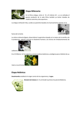 Etapa Milenaria:
En la China antigua, entre el IV y III milenio A.C y a se cultivaba el
gusano productor de la seda China también ya tenían tratados de
medicina naturista y de acupuntura.
La antigua civilización Indu, curaba sus pacientes basados en el pensamiento racional, en la
fuerza de la mente.
La cultura milenaria Egipcia, desarrollaron la agricultura basado en la mejora de la semilla y de
la producción, además conocían la Anatomía humana y las técnica de embalsamamiento de
cadáveres.
En el III Milenio A.C los egipcios ya tenían jardines botánicos y zoológicos para el deleite de sus
reyes y sus princesas.
Etapa Helénica:
Anaximandro estableció el origen común de los organismos, el agua.
Alcneón de Crotona (S. VI a.C) fundó la primera Escuela de Medicina.
 